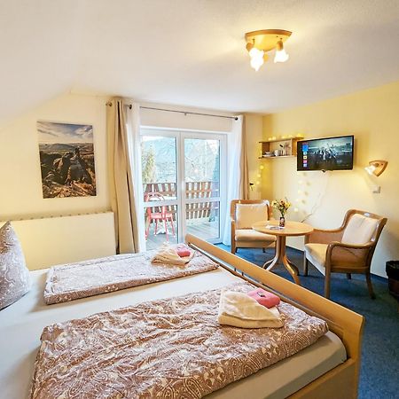 L9 - Urlaubsmagie - Balkon & Direkt Am Wanderweg Apartman Sebnitz Kültér fotó
